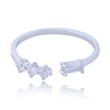 Rhodium
